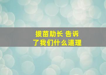 拔苗助长 告诉了我们什么道理